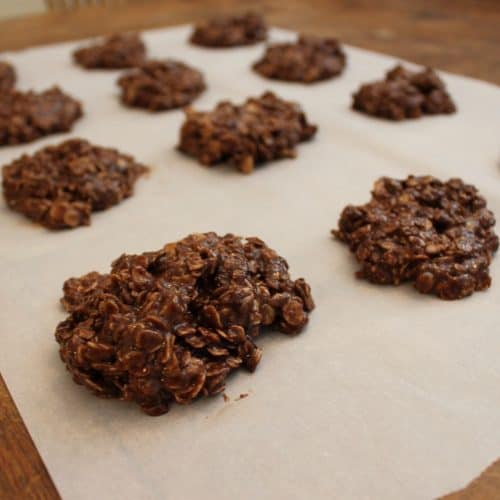 The Tastiest Healthy Lactation Cookies EVER + No Bake Easy to Make ...