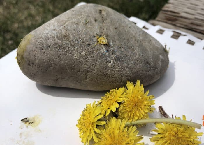 7 Best Dandelion Crafts for Pre schoolers and a FREE Printable Book!