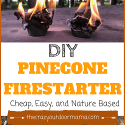 DIY Cheap, Long Burning Firestarter Using Pinecones!