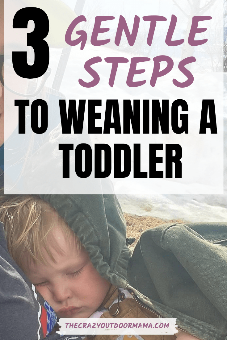 How To Wean Toddlers From Breastfeeding When They Are Stubborn The Crazy Outdoor Mama