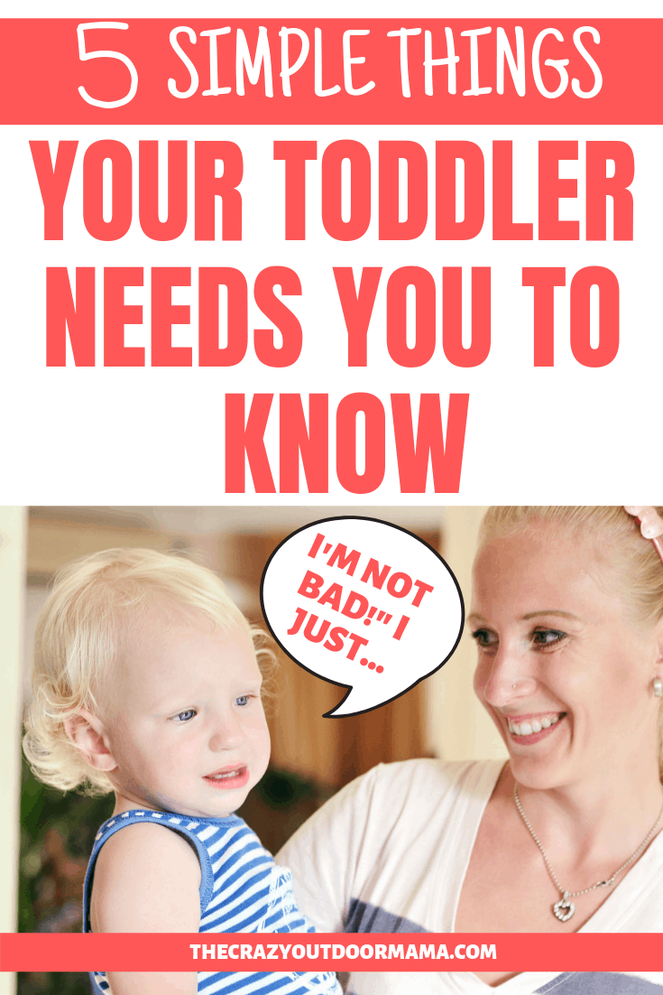 5 Things to Know That Make Toddlers So Much Easier to Handle! – The ...