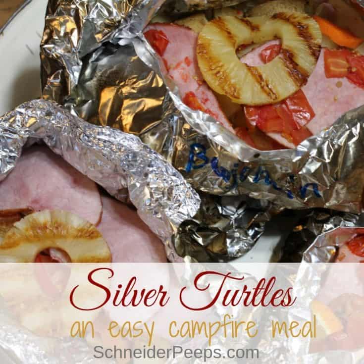 Instant Pot Easy Tin Foil Dinners - Camping Indoors! - InstaFresh