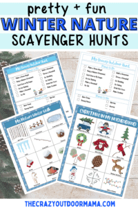 7 Fun Christmas Scavenger Hunt Printables (Outdoors, Indoors and Clues ...