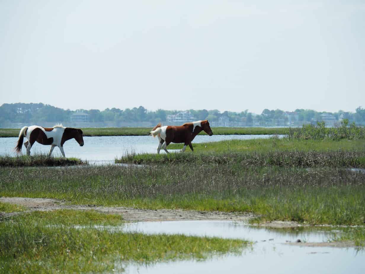 Top 5 Roadschooling Destinations in the Southeast – The Crazy Outdoor Mama