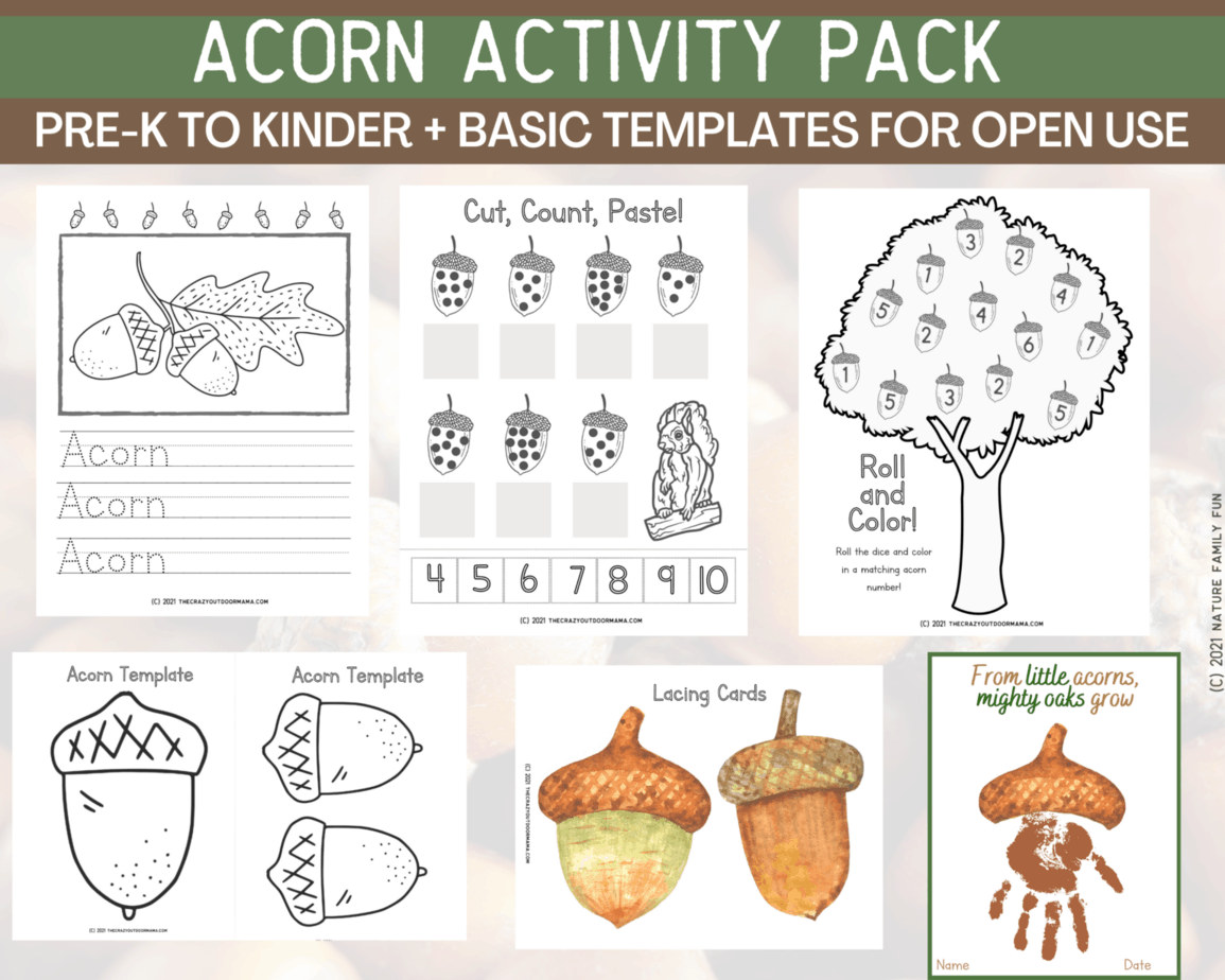 15 Adorable Acorn Crafts For Kids + FREE 8 Page Printable PDF Activity ...