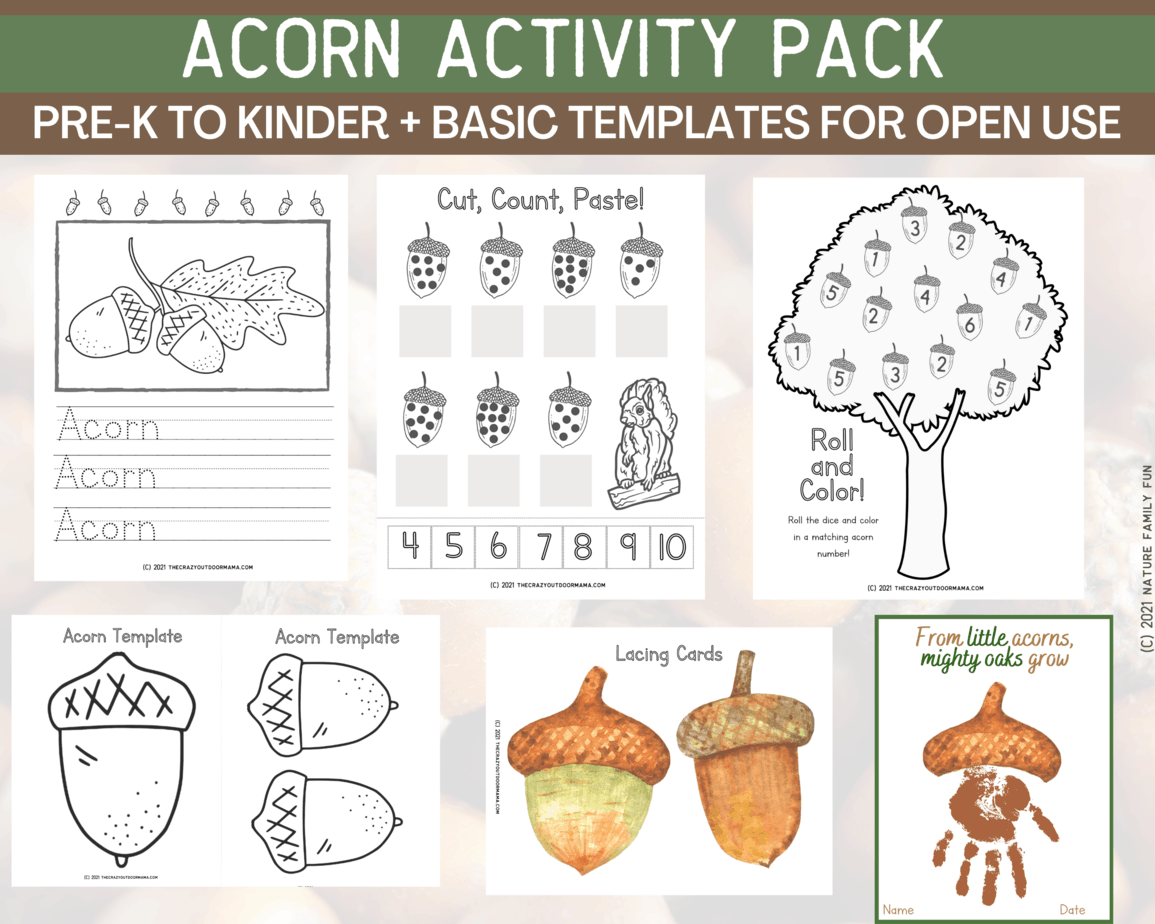 acorn templates printables