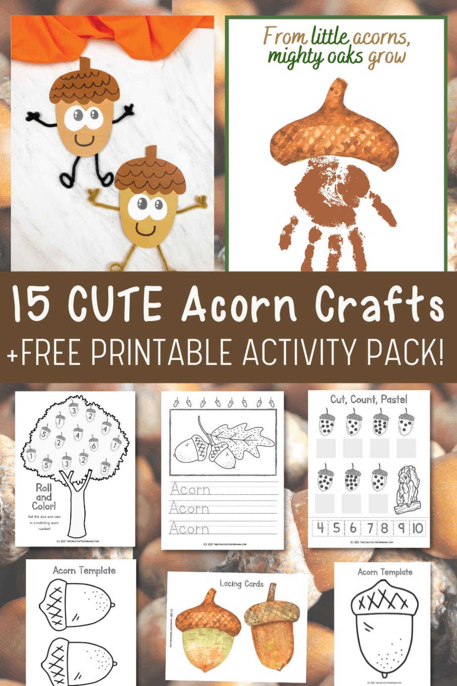 15 Adorable Acorn Crafts for Kids + FREE 8 Page Printable PDF Activity