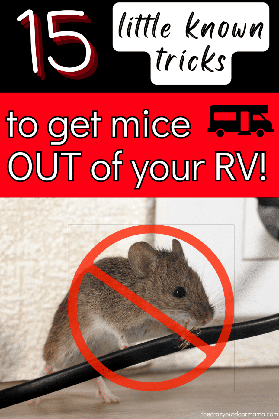 How to Keep Mice Out of Your Camper - Campendium