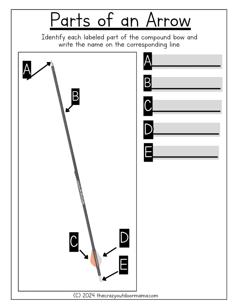 parts of an arrow worksheet